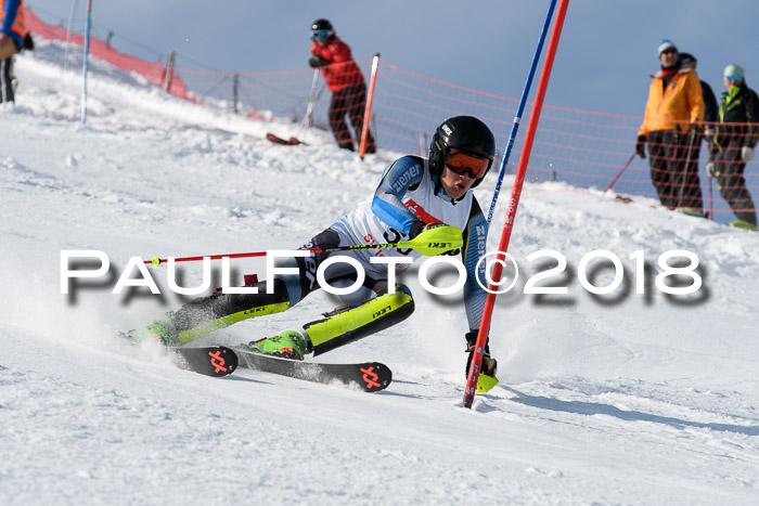 Int. Deutsche Meisterschaft Slalom Herren 25.03.2018