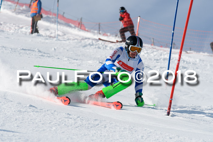 Int. Deutsche Meisterschaft Slalom Herren 25.03.2018