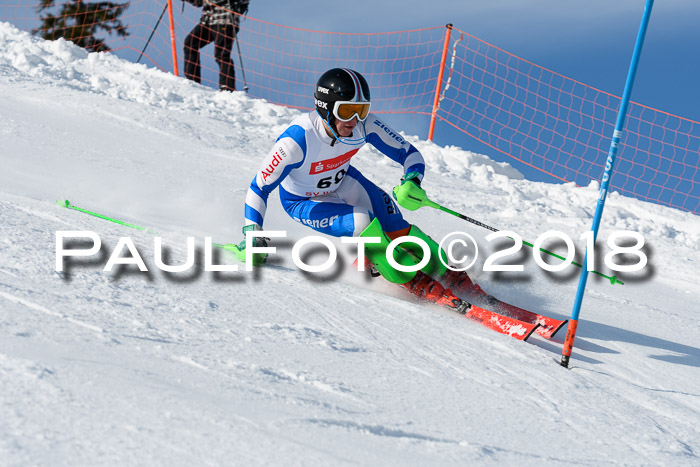 Int. Deutsche Meisterschaft Slalom Herren 25.03.2018