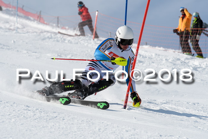 Int. Deutsche Meisterschaft Slalom Herren 25.03.2018