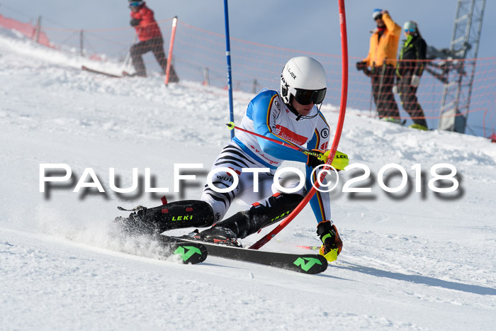 Int. Deutsche Meisterschaft Slalom Herren 25.03.2018