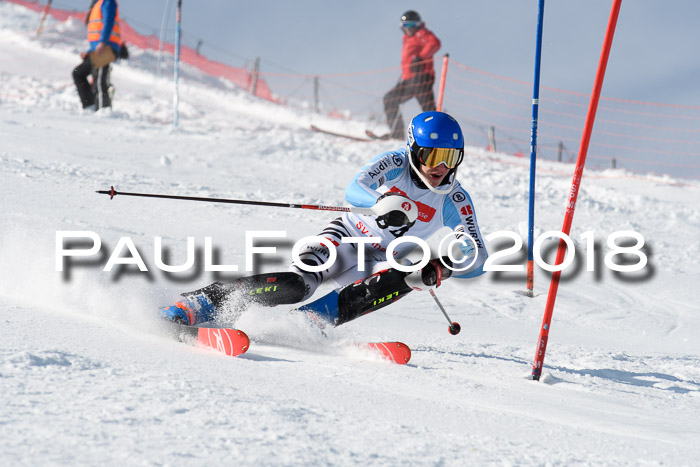 Int. Deutsche Meisterschaft Slalom Herren 25.03.2018