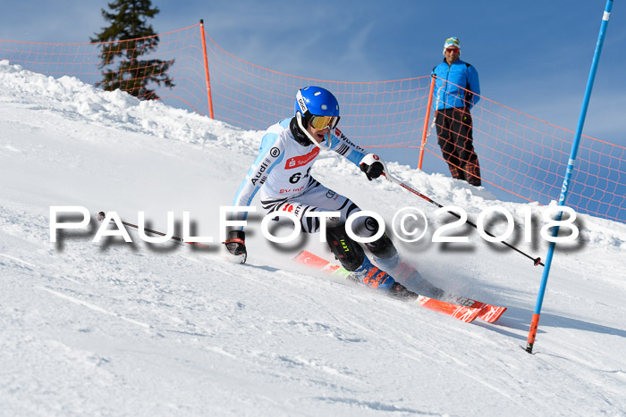 Int. Deutsche Meisterschaft Slalom Herren 25.03.2018