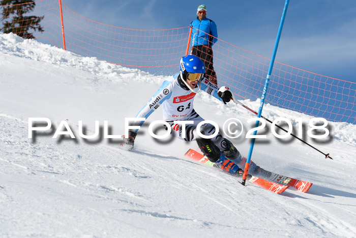 Int. Deutsche Meisterschaft Slalom Herren 25.03.2018
