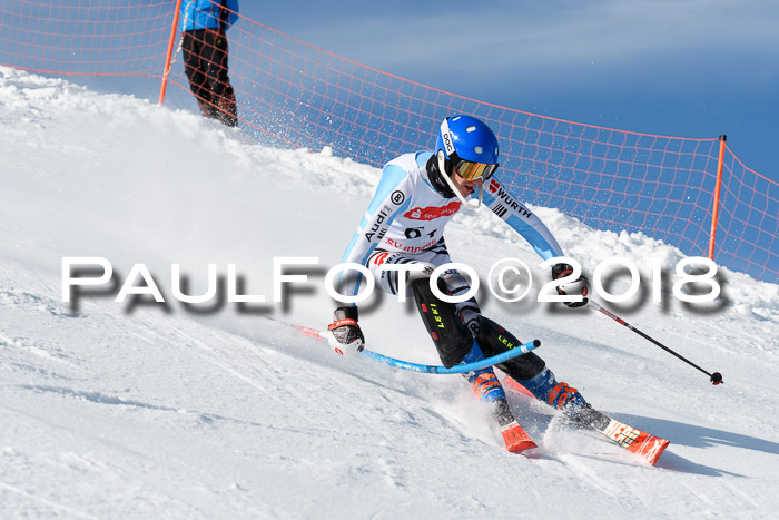 Int. Deutsche Meisterschaft Slalom Herren 25.03.2018
