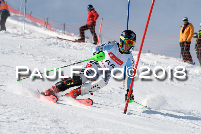 Int. Deutsche Meisterschaft Slalom Herren 25.03.2018