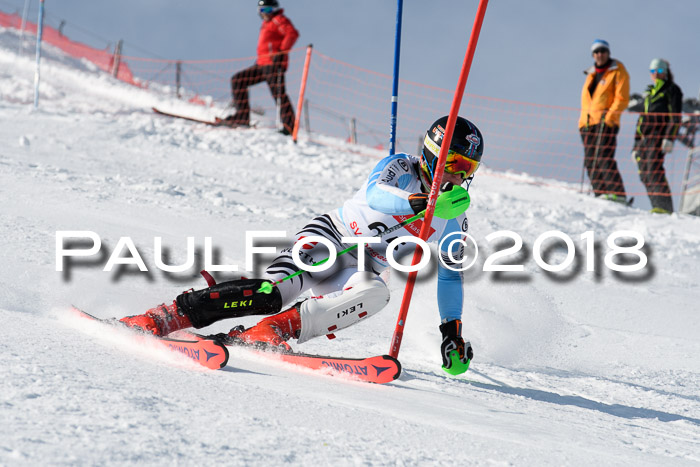 Int. Deutsche Meisterschaft Slalom Herren 25.03.2018