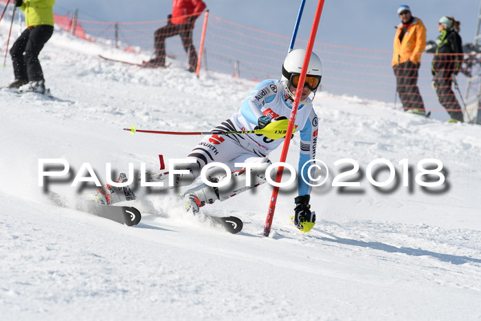 Int. Deutsche Meisterschaft Slalom Herren 25.03.2018