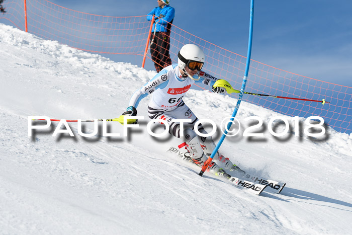 Int. Deutsche Meisterschaft Slalom Herren 25.03.2018