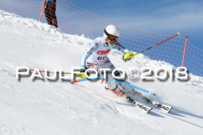 Int. Deutsche Meisterschaft Slalom Herren 25.03.2018