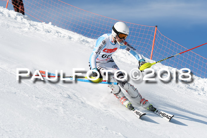 Int. Deutsche Meisterschaft Slalom Herren 25.03.2018