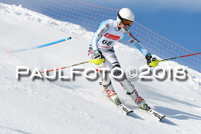 Int. Deutsche Meisterschaft Slalom Herren 25.03.2018