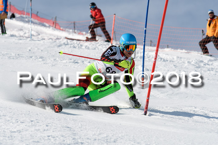 Int. Deutsche Meisterschaft Slalom Herren 25.03.2018