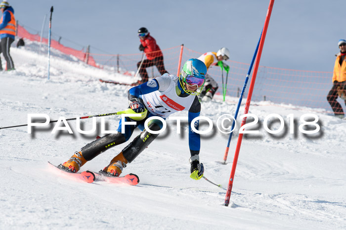 Int. Deutsche Meisterschaft Slalom Herren 25.03.2018