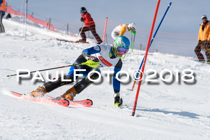 Int. Deutsche Meisterschaft Slalom Herren 25.03.2018