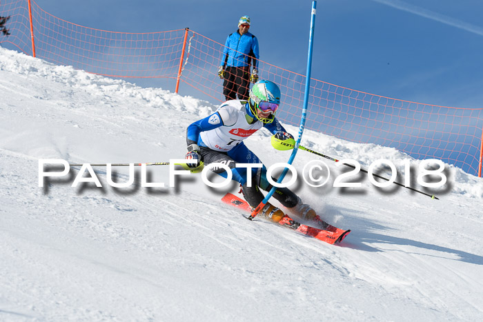 Int. Deutsche Meisterschaft Slalom Herren 25.03.2018