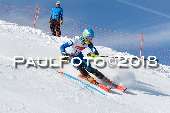 Int. Deutsche Meisterschaft Slalom Herren 25.03.2018