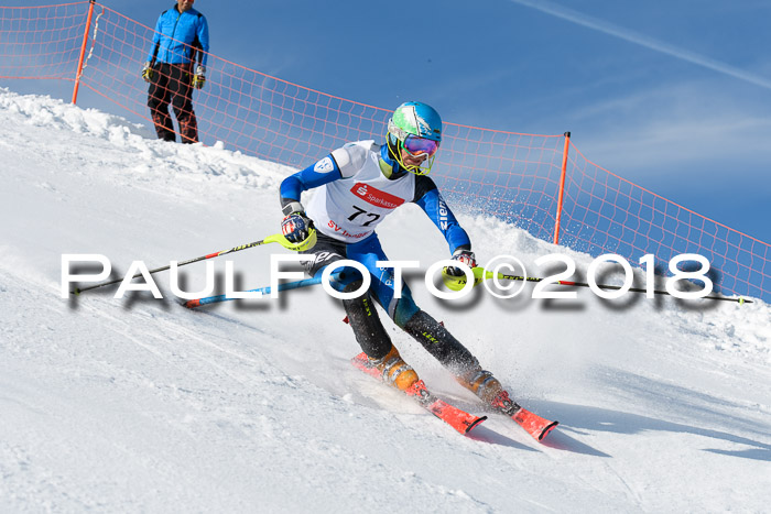 Int. Deutsche Meisterschaft Slalom Herren 25.03.2018