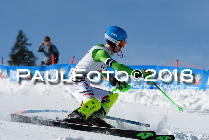 Int. Deutsche Meisterschaft Slalom Herren 25.03.2018