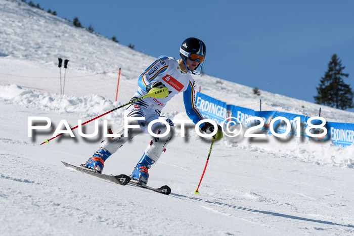 Int. Deutsche Meisterschaft Slalom Herren 25.03.2018
