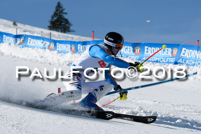 Int. Deutsche Meisterschaft Slalom Herren 25.03.2018