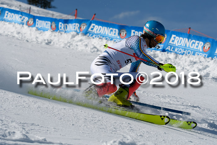 Int. Deutsche Meisterschaft Slalom Herren 25.03.2018