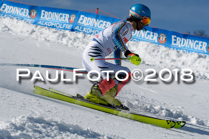 Int. Deutsche Meisterschaft Slalom Herren 25.03.2018