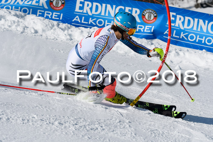Int. Deutsche Meisterschaft Slalom Herren 25.03.2018