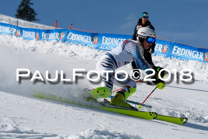 Int. Deutsche Meisterschaft Slalom Herren 25.03.2018
