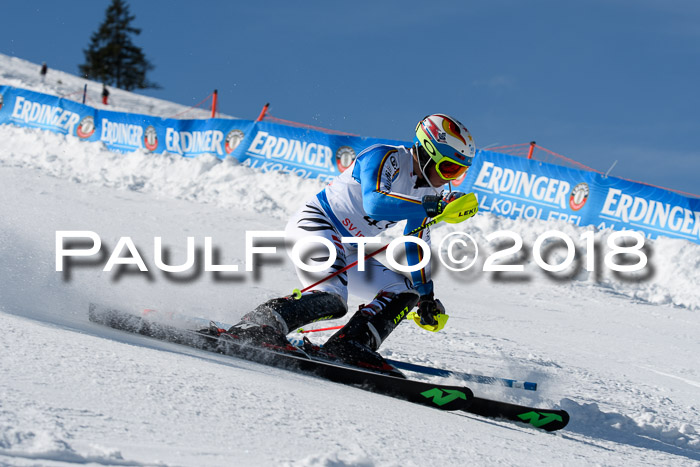 Int. Deutsche Meisterschaft Slalom Herren 25.03.2018