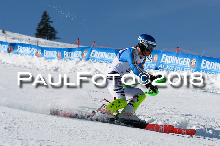 Int. Deutsche Meisterschaft Slalom Herren 25.03.2018