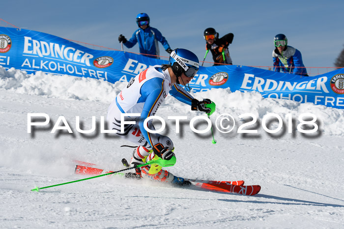 Int. Deutsche Meisterschaft Slalom Herren 25.03.2018