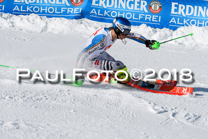 Int. Deutsche Meisterschaft Slalom Herren 25.03.2018