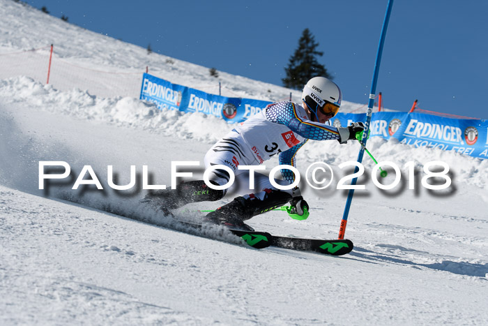 Int. Deutsche Meisterschaft Slalom Herren 25.03.2018