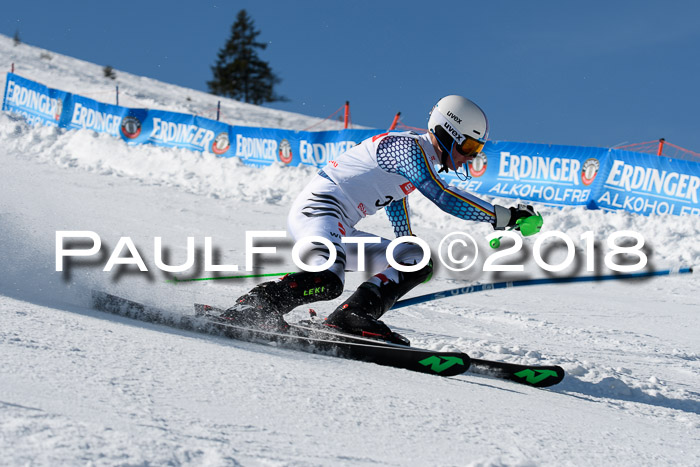 Int. Deutsche Meisterschaft Slalom Herren 25.03.2018