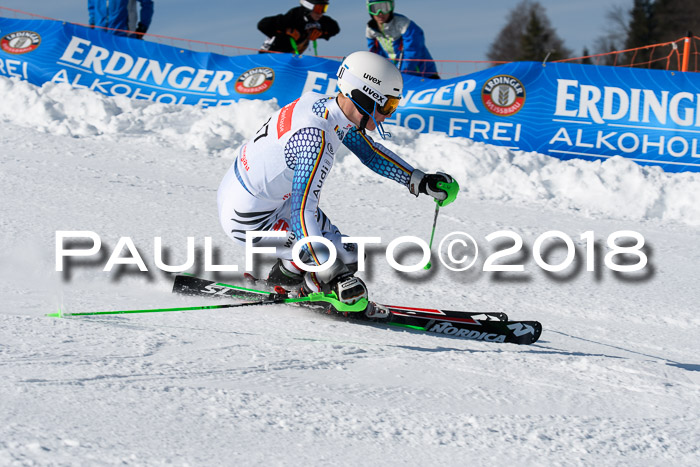 Int. Deutsche Meisterschaft Slalom Herren 25.03.2018
