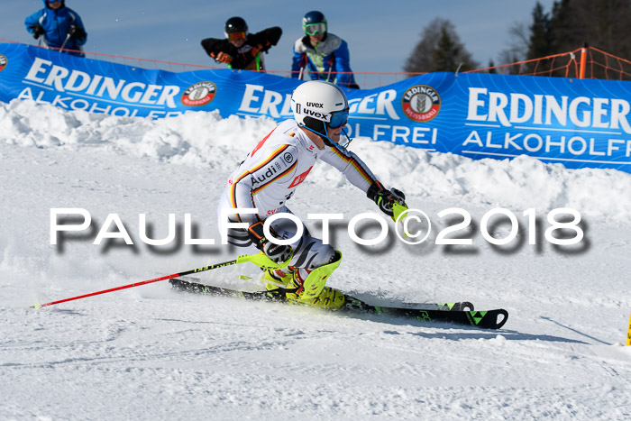 Int. Deutsche Meisterschaft Slalom Herren 25.03.2018