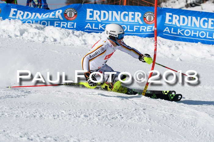 Int. Deutsche Meisterschaft Slalom Herren 25.03.2018