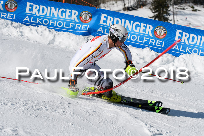Int. Deutsche Meisterschaft Slalom Herren 25.03.2018