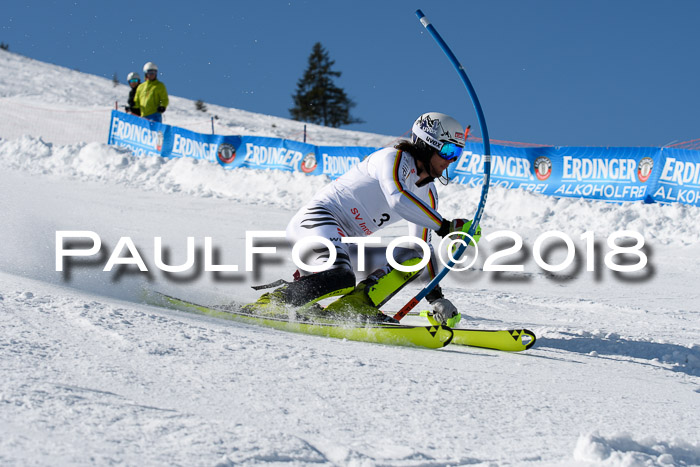 Int. Deutsche Meisterschaft Slalom Herren 25.03.2018
