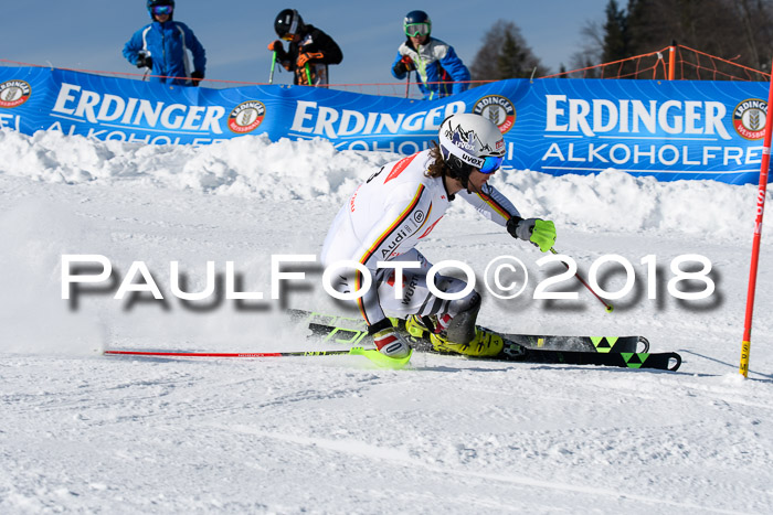 Int. Deutsche Meisterschaft Slalom Herren 25.03.2018