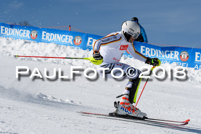 Int. Deutsche Meisterschaft Slalom Herren 25.03.2018