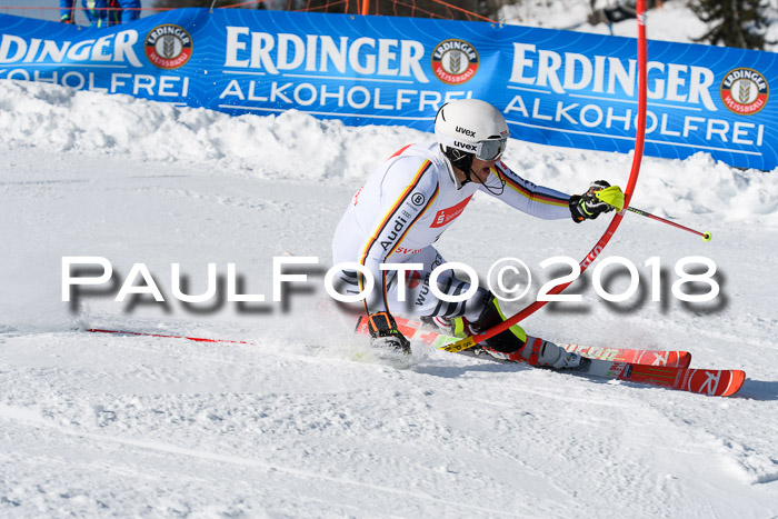 Int. Deutsche Meisterschaft Slalom Herren 25.03.2018