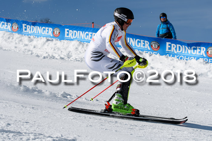 Int. Deutsche Meisterschaft Slalom Herren 25.03.2018