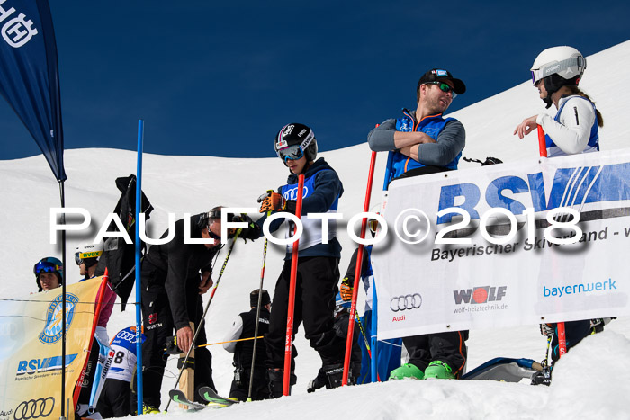 Ski Golf Masters 2018, Riesenslalom