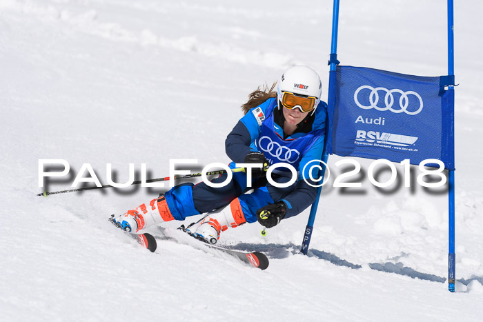 Ski Golf Masters 2018, Riesenslalom