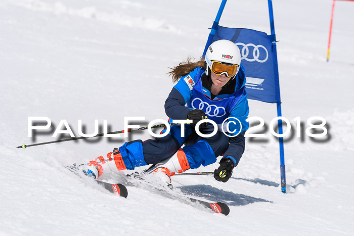 Ski Golf Masters 2018, Riesenslalom