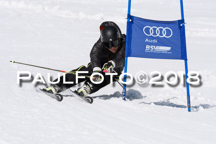 Ski Golf Masters 2018, Riesenslalom