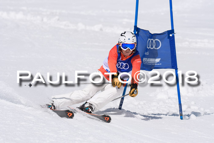 Ski Golf Masters 2018, Riesenslalom