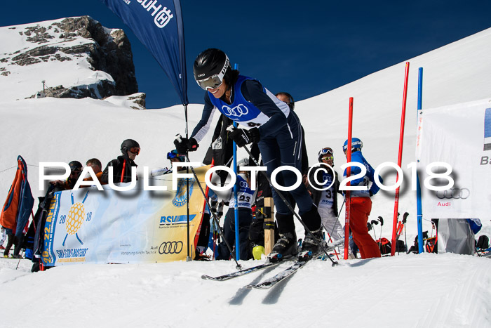 Ski Golf Masters 2018, Riesenslalom